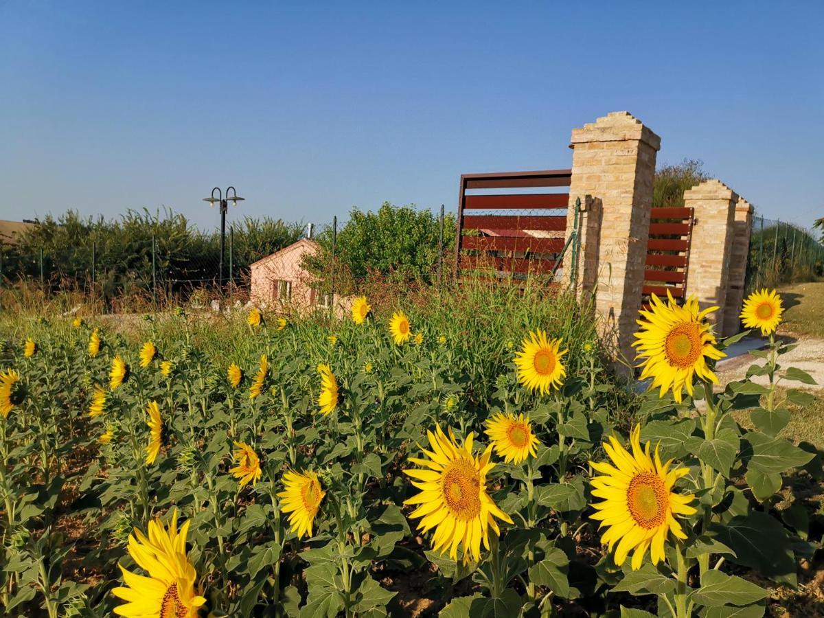 B&B Ceresa - Country House Loreto Luaran gambar