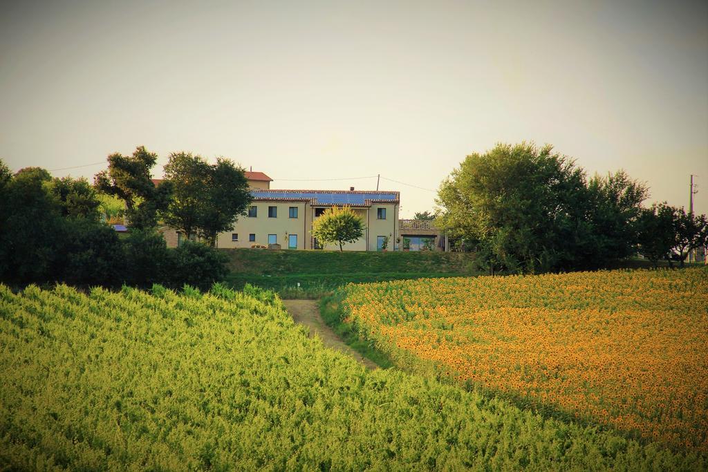 B&B Ceresa - Country House Loreto Luaran gambar