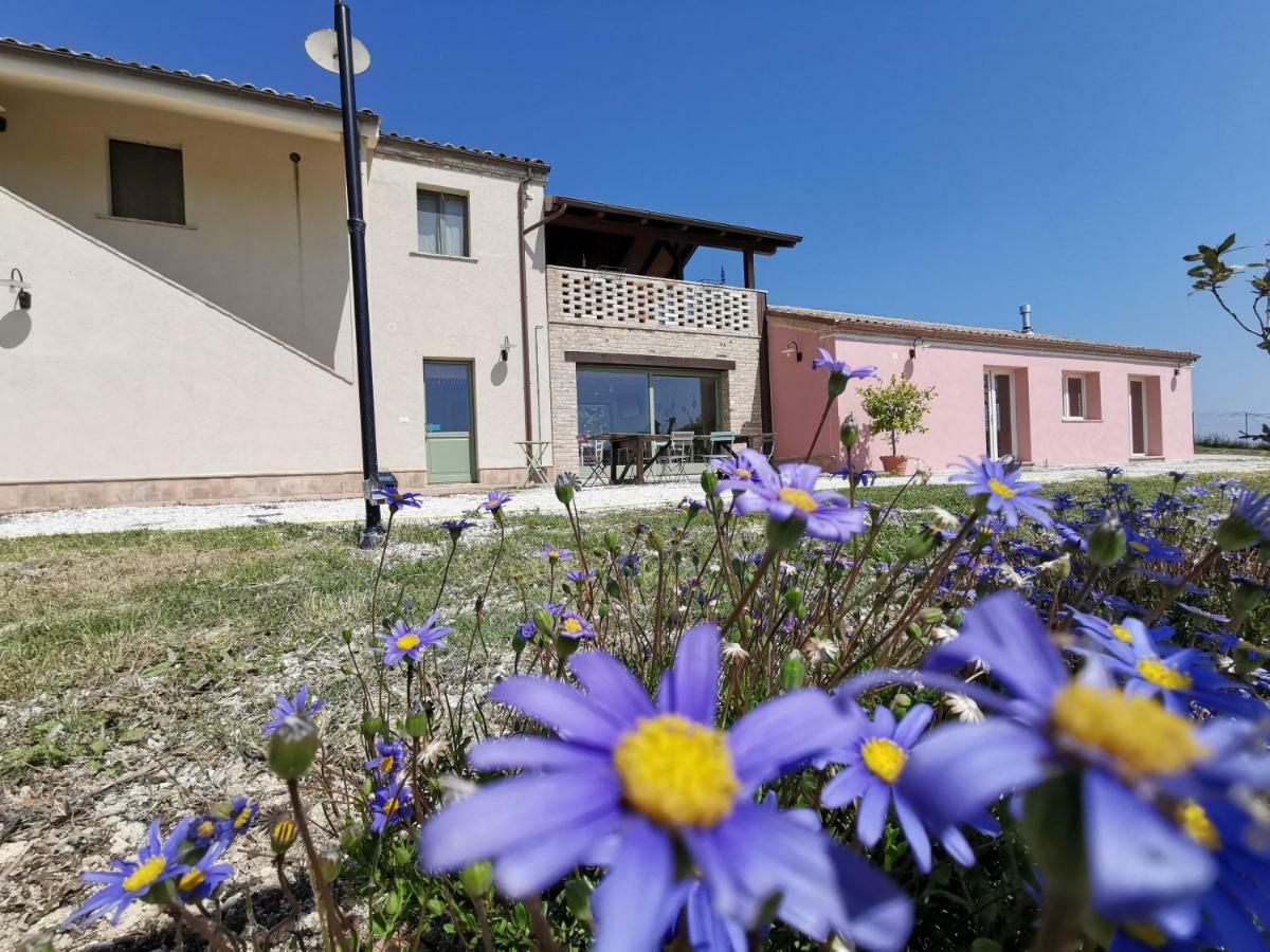 B&B Ceresa - Country House Loreto Luaran gambar